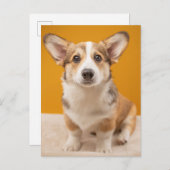 最も可愛い赤ん坊の動物 |コルギポートレートオンオレンジ ポストカード (正面/裏面)