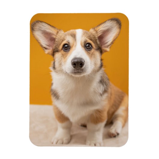 最も可愛い赤ん坊の動物 |コルギポートレートオンオレンジ マグネット (縦)