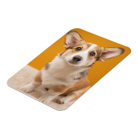 最も可愛い赤ん坊の動物 |コルギポートレートオンオレンジ マグネット (左側)