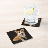 最も可愛い赤ん坊の動物 |コルギポートレートオンブラック スクエアペーパーコースター (インサイチュ)