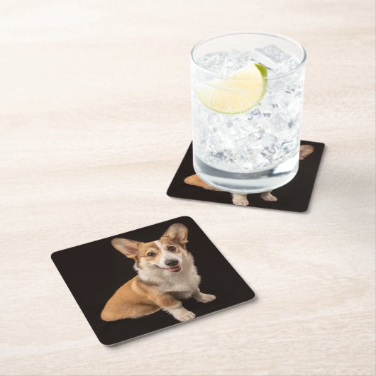 最も可愛い赤ん坊の動物 |コルギポートレートオンブラック スクエアペーパーコースター (インサイチュ)