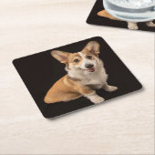 最も可愛い赤ん坊の動物 |コルギポートレートオンブラック スクエアペーパーコースター (アングル)