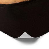 最も可愛い赤ん坊の動物 |コルギポートレートオンブラック ポスター (角)