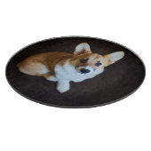 最も可愛い赤ん坊の動物 |コルギ調べる カッティングボード (角)