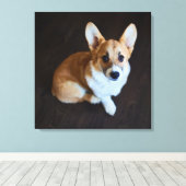 最も可愛い赤ん坊の動物 |コルギ調べる キャンバスプリント (インサイチュ (ウッドフロア))