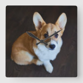 最も可愛い赤ん坊の動物 |コルギ調べる スクエア壁時計 (正面)