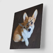 最も可愛い赤ん坊の動物 |コルギ調べる スクエア壁時計 (傾斜)