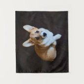 最も可愛い赤ん坊の動物 |コルギ調べる タペストリー (正面)