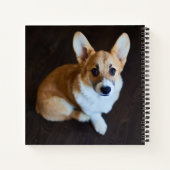 最も可愛い赤ん坊の動物 |コルギ調べる ノートブック (裏面)