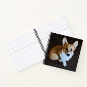 最も可愛い赤ん坊の動物 |コルギ調べる ノートブック (内部)