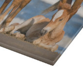 最も可愛い赤ん坊の動物 |コロ生まれたばかりのラの野生の馬 カッティングボード (角)