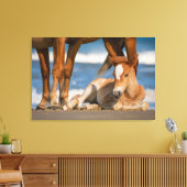 最も可愛い赤ん坊の動物 |コロ生まれたばかりのラの野生の馬 キャンバスプリント (インサイチュ (リビング))