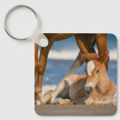 最も可愛い赤ん坊の動物 |コロ生まれたばかりのラの野生の馬 キーホルダー (正面)