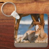 最も可愛い赤ん坊の動物 |コロ生まれたばかりのラの野生の馬 キーホルダー (正面)