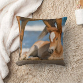 最も可愛い赤ん坊の動物 |コロ生まれたばかりのラの野生の馬 クッション (ブランケット)