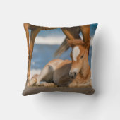 最も可愛い赤ん坊の動物 |コロ生まれたばかりのラの野生の馬 クッション (裏面)