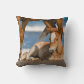 最も可愛い赤ん坊の動物 |コロ生まれたばかりのラの野生の馬 クッション (正面)