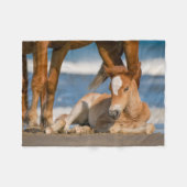 最も可愛い赤ん坊の動物 |コロ生まれたばかりのラの野生の馬 フリースブランケット (正面(横))