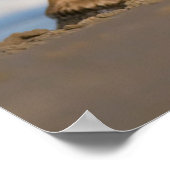 最も可愛い赤ん坊の動物 |コロ生まれたばかりのラの野生の馬 ポスター (角)