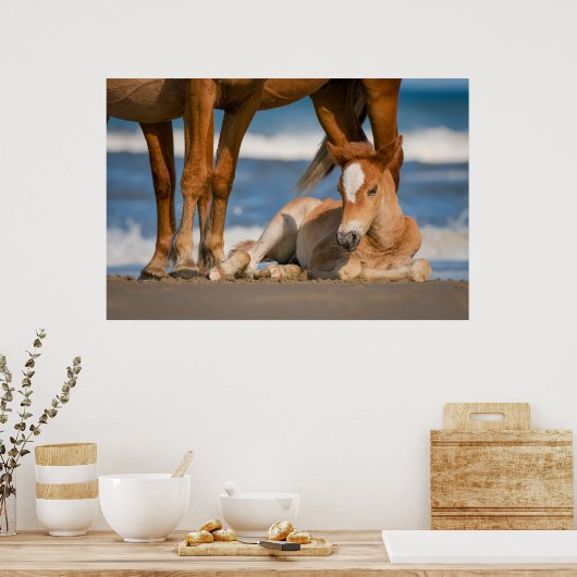 最も可愛い赤ん坊の動物 |コロ生まれたばかりのラの野生の馬 ポスター (キッチン)