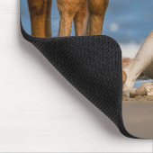 最も可愛い赤ん坊の動物 |コロ生まれたばかりのラの野生の馬 マウスパッド (コーナー)