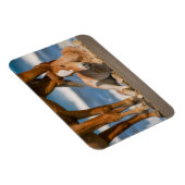 最も可愛い赤ん坊の動物 |コロ生まれたばかりのラの野生の馬 マグネット (右側)