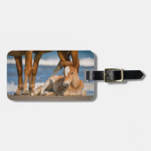 最も可愛い赤ん坊の動物 |コロ生まれたばかりのラの野生の馬 ラゲッジタグ (正面横)