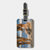 最も可愛い赤ん坊の動物 |コロ生まれたばかりのラの野生の馬 ラゲッジタグ (正面縦)