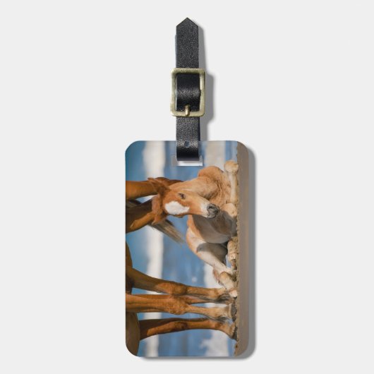 最も可愛い赤ん坊の動物 |コロ生まれたばかりのラの野生の馬 ラゲッジタグ (正面縦)