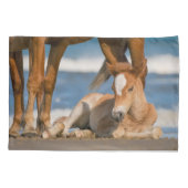 最も可愛い赤ん坊の動物 |コロ生まれたばかりのラの野生の馬 枕カバー (裏面)