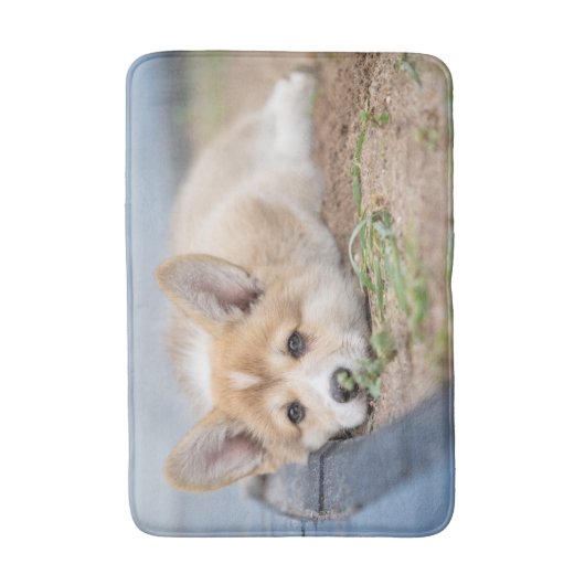 最も可愛い赤ん坊の動物 |コーギの庭での敷設 バスマット (正面縦)