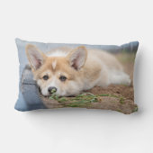 最も可愛い赤ん坊の動物 |コーギの庭での敷設 ランバークッション (裏面)