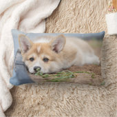 最も可愛い赤ん坊の動物 |コーギの庭での敷設 ランバークッション (ブランケット)