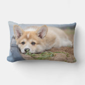 最も可愛い赤ん坊の動物 |コーギの庭での敷設 ランバークッション (正面)