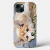 最も可愛い赤ん坊の動物 |コーギの庭での敷設 Case-Mate iPhoneケース (裏面)