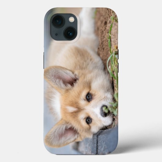 最も可愛い赤ん坊の動物 |コーギの庭での敷設 Case-Mate iPhoneケース (裏面)