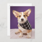 最も可愛い赤ん坊の動物 |コーギパピースカルバンダナ ポストカード (正面/裏面)