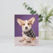最も可愛い赤ん坊の動物 |コーギパピースカルバンダナ ポストカード (スタンド正面)