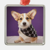 最も可愛い赤ん坊の動物 |コーギパピースカルバンダナ メタルオーナメント (正面)
