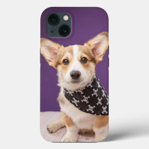 最も可愛い赤ん坊の動物 コーギパピースカルバンダナ iPhone 13ケース