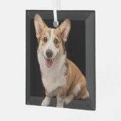 最も可愛い赤ん坊の動物 |コーギパピースマイル ガラスオーナメント (正面左)