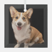 最も可愛い赤ん坊の動物 |コーギパピースマイル ガラスオーナメント (正面)