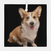 最も可愛い赤ん坊の動物 |コーギパピースマイル ガラスオーナメント (裏面)