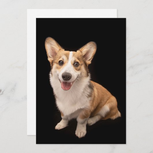 最も可愛い赤ん坊の動物 |コーギパピースマイル サンキューカード (正面/裏面)