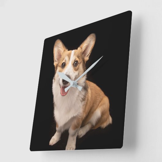 最も可愛い赤ん坊の動物 |コーギパピースマイル スクエア壁時計 (傾斜)