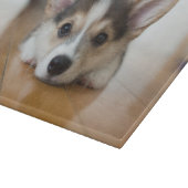 最も可愛い赤ん坊の動物 |コーギパピー探し カッティングボード (角)
