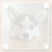 最も可愛い赤ん坊の動物 |コーギパピー探し ガラスコースター (裏面)