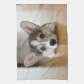 最も可愛い赤ん坊の動物 |コーギパピー探し キッチンタオル (縦)