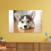最も可愛い赤ん坊の動物 |コーギパピー探し キャンバスプリント (インサイチュ (リビング))