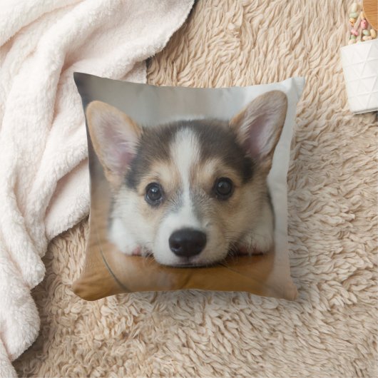 最も可愛い赤ん坊の動物 |コーギパピー探し クッション (ブランケット)